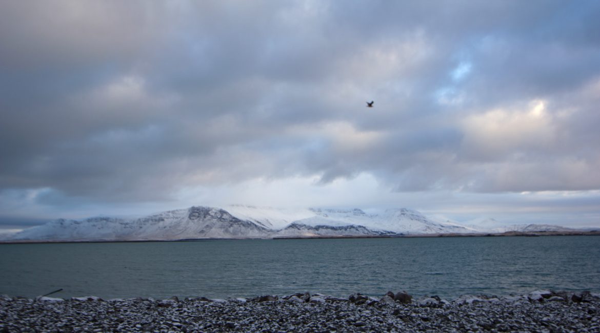 2017_01_ISLANDE_Jour1-16.jpg